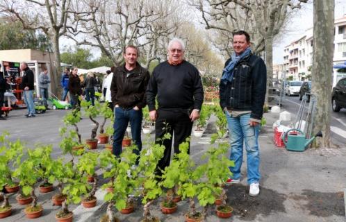 Noël Lebreton avec Rodolphe et Laurent Foncias qui commercialisent leur pieds de vigne en pot