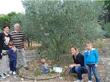 Les enfants des crèches parrainent des oliviers