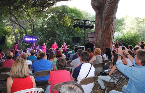 Auditions 2014 sous le grand pin de la Maison du Cygne