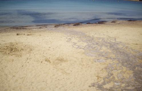 Pollution plage du Cros au Brusc 