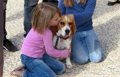 Comme cette petite fille, Saint François d'Assise adorait les animaux, créatures de Dieu