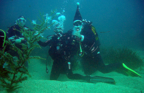 Un air de Noël sous l'eau (photo R.V).