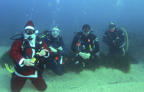 Les fidèles de Cap Plongée ont trinqué sous l'eau. (Photos: Roger Vantomme)