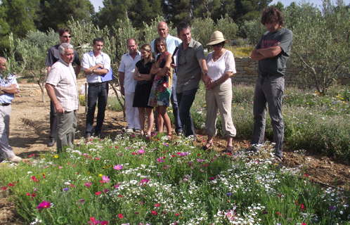 Visite du jardin des Oliviers pour le jury des Villes et Villages fleuris.