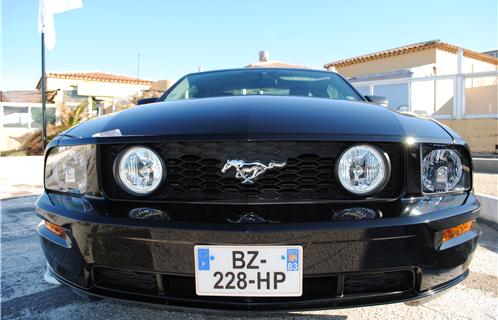 Ces voitures encore construites par Ford aujourd'hui, arborent leur propre logotype de calandre: un mustang au galop