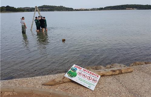 Une dizaine de panneaux ont été installés. 