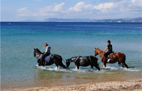 Allez...à l'eau