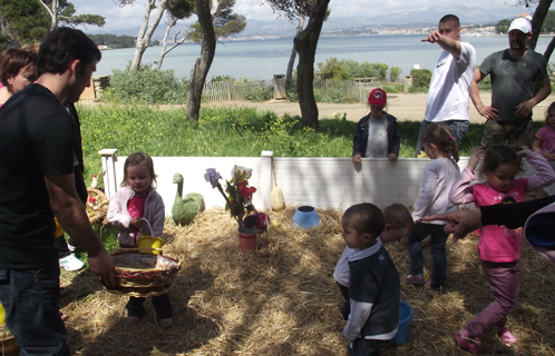 Au jardin des oeufs. 