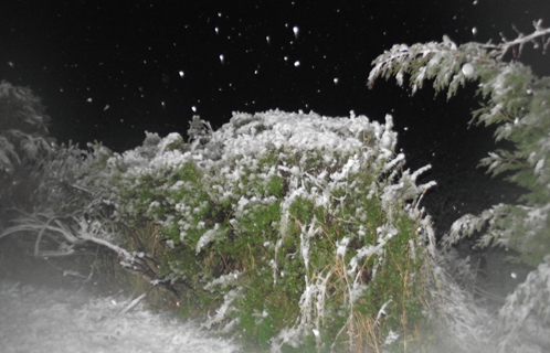 Un air de Noël ce jeudi soir.