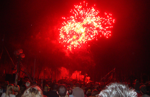 Le feu d'artifice a illuminé la ville.