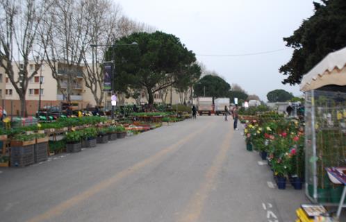 La foire aux plants.