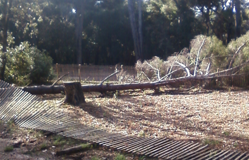 D'importants dégâts au Bois de la Coudoulière.