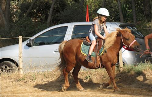 Balade à poney pour les débutants