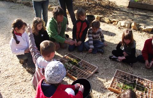 Une classe de CP de la Vernette était au Jardin des Oliviers pour l'école de la terre.