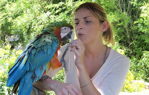 Sophie Carreira, la Directrice du Zoo et son copain Chuck, un très bel ara 