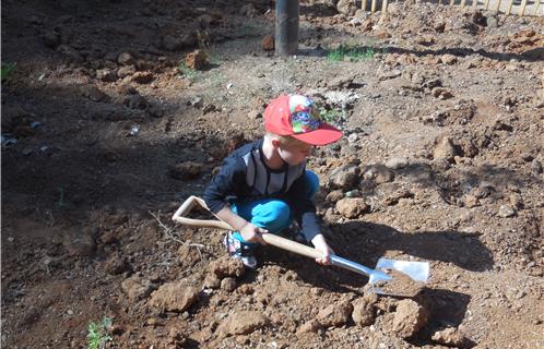 Les enfants ayant accueilli dans l'année un petit frère ou une petite sœur plantent symboliquement un arbre.