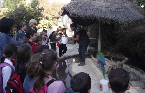 Les CP au zoo de Bandol-Sanary.