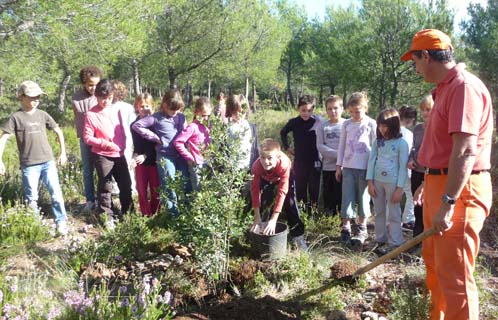 Le CCFF est très impliqué à l'école de la forêt. (photo CM)