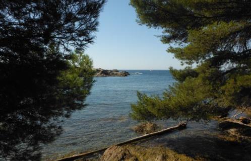 Une île pleine de trésors cachés