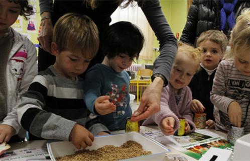 Les enfants ont planté lundi les graines du Blé de l'espérance à l'école maternelle de Portissol. (photos : DR)