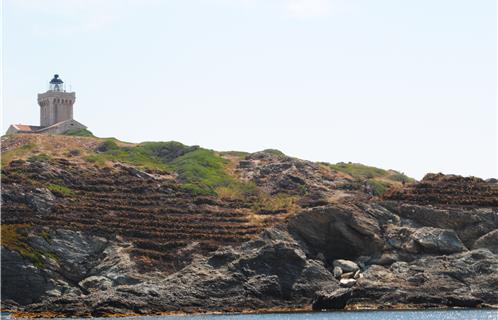 Ce paysage en apparence désolé permettra aux plantes locales de reprendre leurs droits