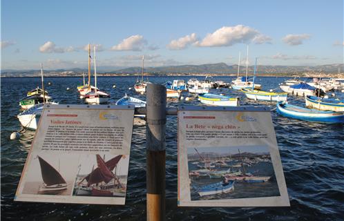 Les pointus auront toute leur place  dans la lagune du Brusc