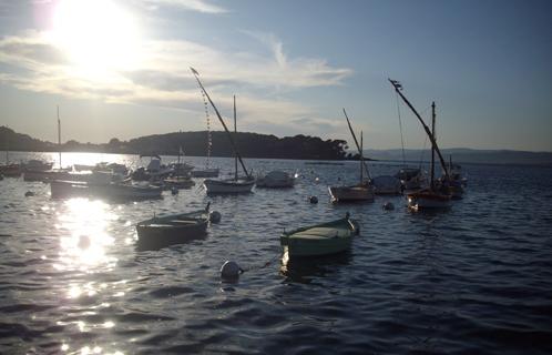 Des pointus dans la lagune du Brusc