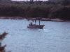 Bateau vendeur de glaces allant à la plagette du Gaou. Vu la hauteur de la barrière de posidonie entre l’île du Gaou et l’île des Embiez il est quasiment impossible de passer avec un bateau à moteur sans abîmer la végétation marine. (Photo prise le 1er juillet 2009)