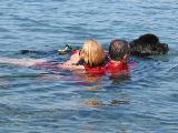 Exercice des Maîtres-chiens sauveteurs aquatiques aux Embiez.