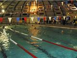 Des kilomètres de nage pour le Téléthon à la piscine Municipale de Six-Fours
