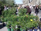 Une Foire aux plants le temps d'un week-end