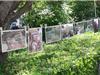 Les photos des jardins ou balcons des participants étaient exposées pour l'occasion.