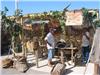 Le stand des anciens du Brusc a attiré la foule.