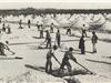 Entre les Embiez et la Tour Fondue, des marais salins reliaient les deux îles