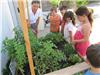 Atelier jardinage ? Pourquoi pas. c'est aussi une façon de comprendre l'environnement marin.