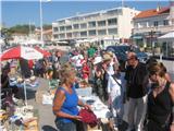 Belles rencontres avec les puciers sur le port