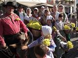 Une magnifique procession