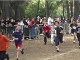 C'était l'heure du Cross de district pour les collégiens de l'Ouest Var