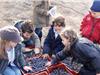 Les enfants ont pu découvrir les différentes variétés d'olives. (photo B.L)