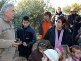 Première cueillette d'olive pour les élèves des écoles élémentaires
