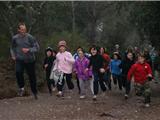 Courses d'orientation dans la forêt de Janas