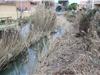 Dans le lit on voit de vrais bouchons dus aux roseaux et aux branchages. A cela il faut ajouter les divers détritus.