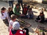 Le jardin des Oliviers accueille l'école de la terre