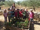 Les enfants découvrent l'école du potager