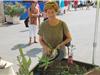 L'art de composer une jardinière