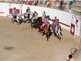 Des chevaux en fête dans les arènes des Embiez