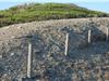 Ces légères barrières empêcheront peut-être l'île de devenir désertique