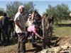 Plantation d'un olivier par chacune des classes, ici avec Jean-Luc Granet.