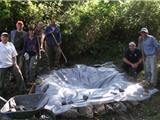 Les chasseurs cajolent la forêt