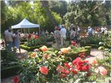 "Un rendez-vous aux jardins"... extraordinaire